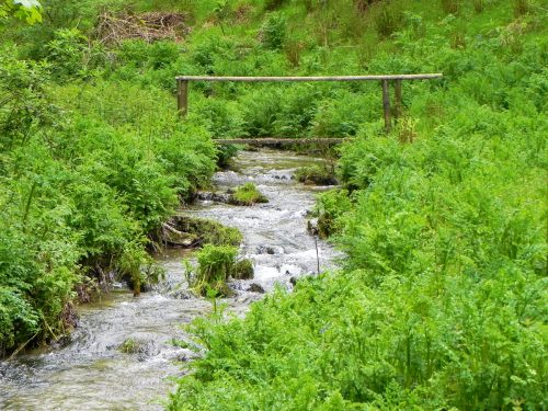 46.-Flowing-through-Parsons-Close-Plantation-6