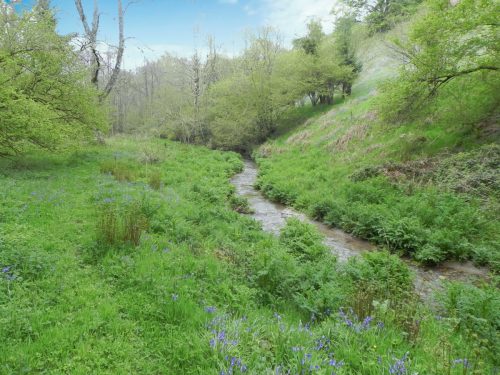 46.-Flowing-through-Parsons-Close-Plantation