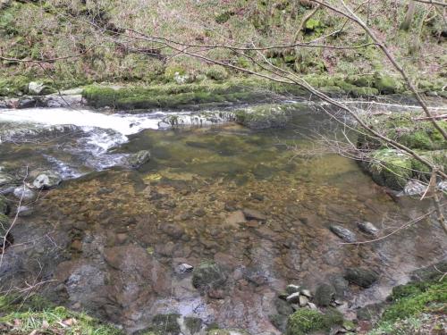 46.-Upstream-from-Watersmeet