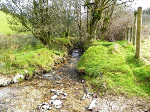 48.-Downstream-from-Riscombe-Combe-2