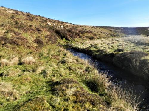 48.-Flowing-below-Hoccombe-Hill-2