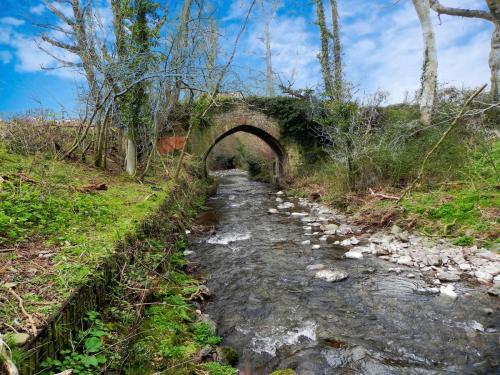 48.-Looking-downstream-to-New-Bridge-2