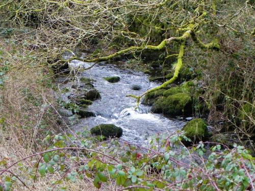 48.-Upstream-from-Oareford-2