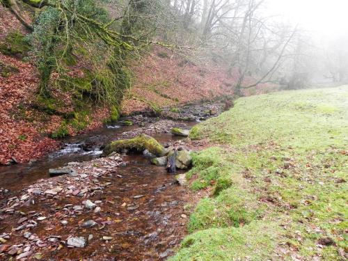 49.-Downstream-from-Aller-Combe-2