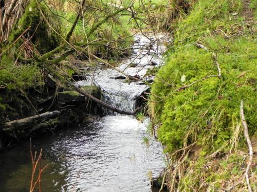 49.-Downstream-from-Riscombe-Combe-2