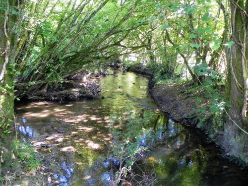 49.-Downstream-from-The-Barton-Footbridge-2