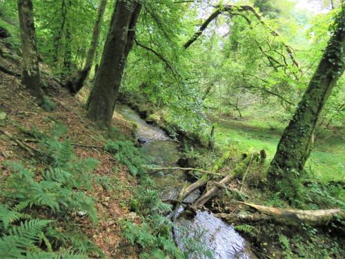 49.-Downstream-from-bridleway-DU-715-ford-2