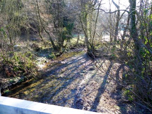 49.-Looking-downstream-from-Hoe-Farm-Bridge-2