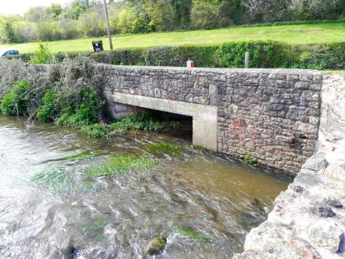 49.-Looking-upstream-from-Cleeve-Abbey-Bridge-2