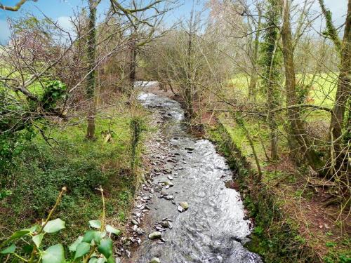 49.-Looking-upstream-from-New-Bridge-2