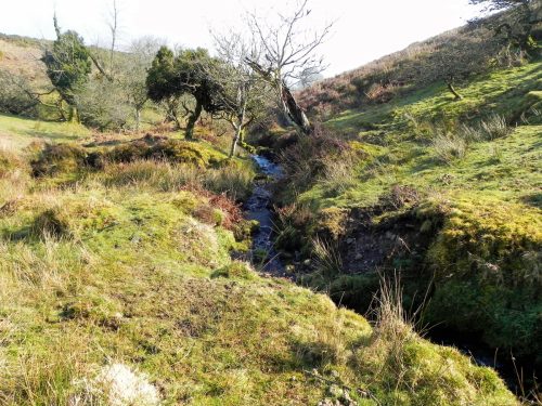 5.-Bagley-Combe-Headwater-2
