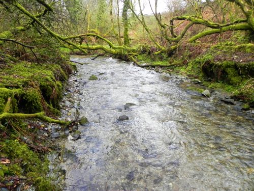 5.-Downstream-from-A39-Culvert-2