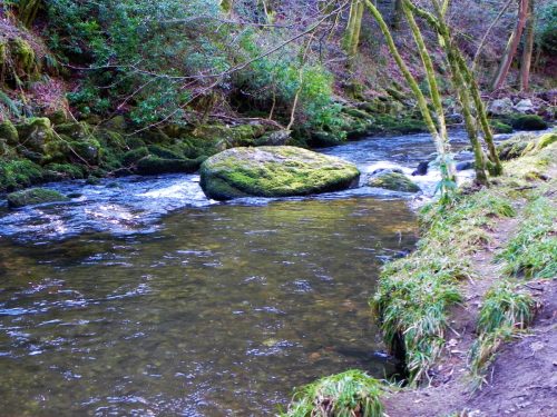 5.-Downstream-from-Alderford-2