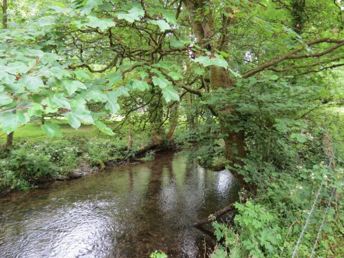 5.-Downstream-from-Bridgetown-Mill-Weir-2