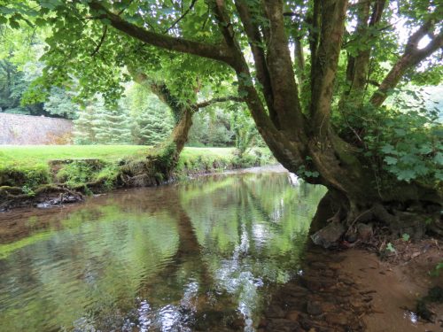 5.-Downstream-from-Bridgetown-Mill-Weir-3