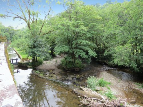 5.-Downstream-from-Bridgetown-Mill-Weir