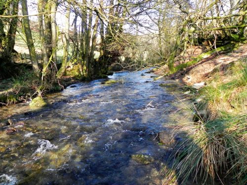 5.-Downstream-from-New-Mill-2