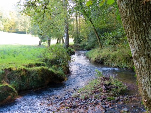 5.-Downstream-from-Nutsford-Bridge-2