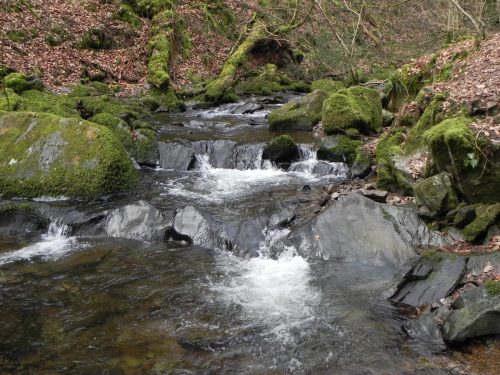 5.-Downstream-from-Pool-Bridge