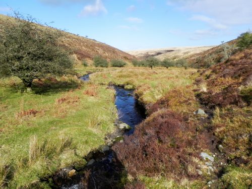 5.-Downstream-from-confluence-with-Embercombe-Water-2