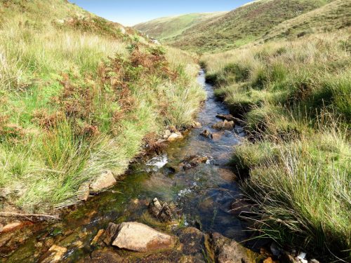 5.-Downstream-from-source-2