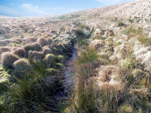 5.-Flowing-below-Hoccombe-Hill-2