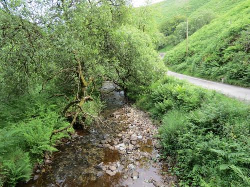 5.-Looking-downstream-from-Warren-Bridge