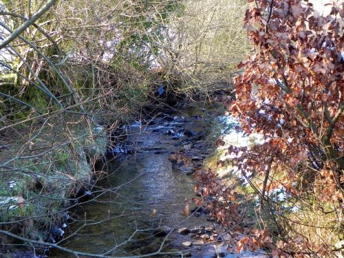 5.-Looking-upstream-from-Codsend-bridge-2