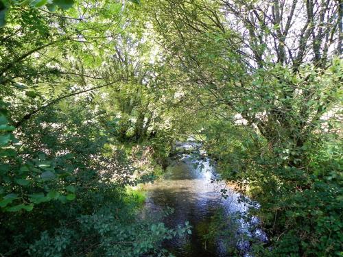 5.-Looking-upstream-from-Gardeners-Bridge-2