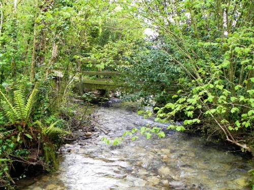 5.-Looking-upstream-from-ROW-footbridge-5530-2