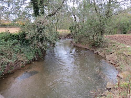 5.-Looking-upstream-from-Wellisford-Manor-Farm-accommodation-bridge