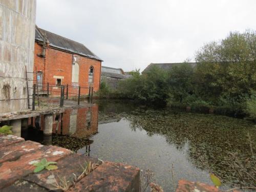 5.-Tonedale-Mill-Pond