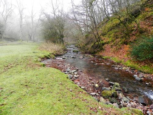 50.-Downstream-from-Aller-Combe-2
