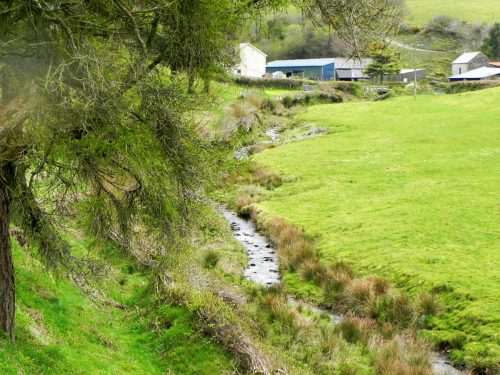 50.-Downstream-from-Highley-Farm-2