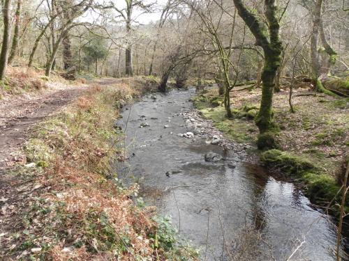 50.-Downstream-from-Prickslade-Combe