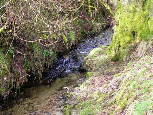 50.-Downstream-from-Riscombe-Combe-2