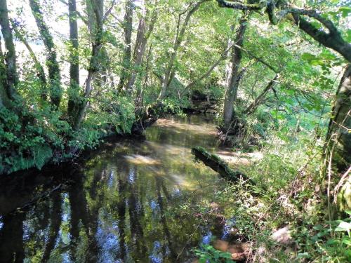 50.-Downstream-from-The-Barton-Footbridge-2