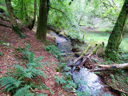 50.-Downstream-from-bridleway-DU-715-ford-2