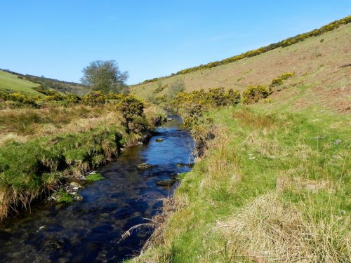50.-Flowing-below-Cloggs-Down-2