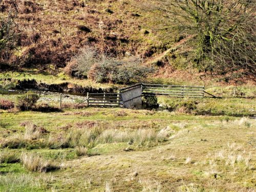 50.-Flowing-below-Furzehill-Common-2