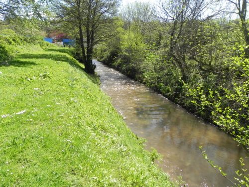 50.-Flowing-past-paper-mill