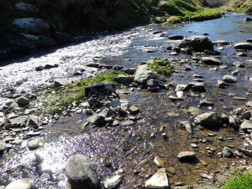 50.-Flowing-to-the-sea-2