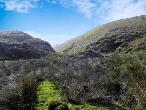 50.-Looking-up-Drybridge-Combe-2