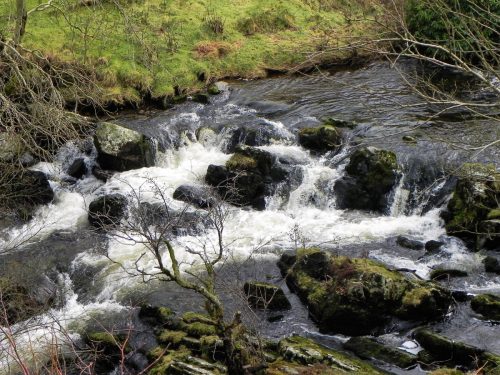 50.-Upstream-from-Cloud-Farm-2