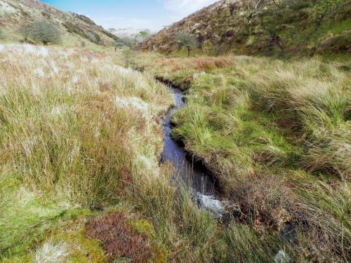 50.-Upstream-from-confluence-with-Embercombe-Water-2