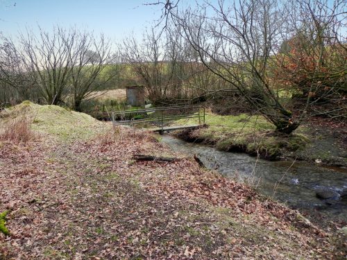 50a.-Looking-upstream-from-ROW-Bridge-1995-2