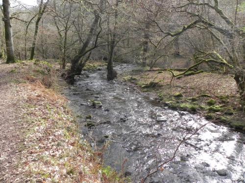 51.-Downstream-from-Prickslade-Combe