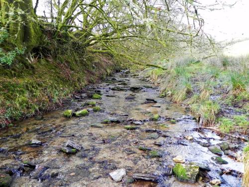 51.-Downstream-from-Riscombe-Combe-2