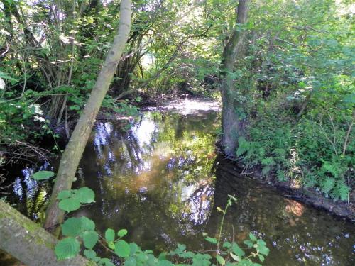 51.-Downstream-from-The-Barton-Footbridge-2