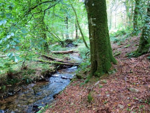 51.-Downstream-from-bridleway-DU-715-ford-2